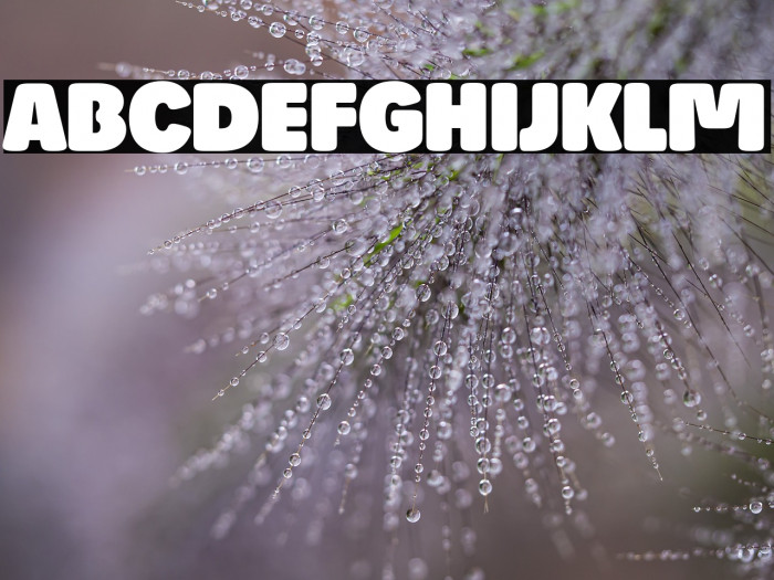 Josefa Rounded Reduced Black Example 1