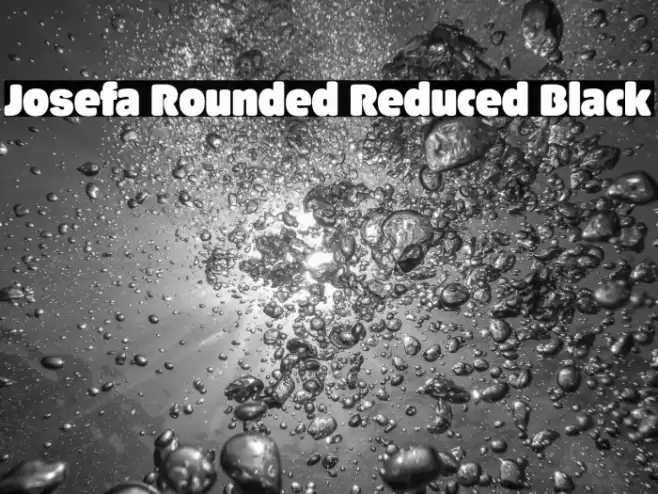Josefa Rounded Reduced Black Font examples