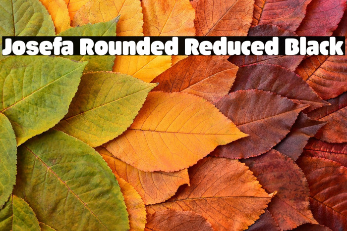 Josefa Rounded Reduced Black Example 2