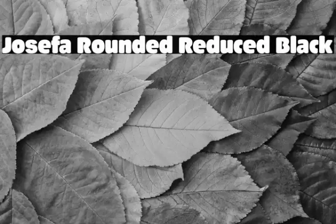 Josefa Rounded Reduced Black Font examples