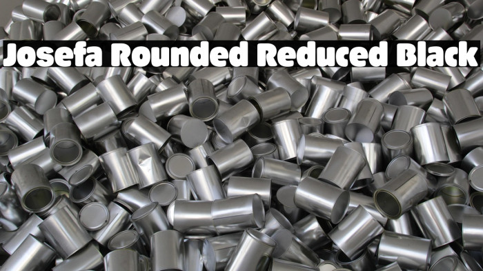 Josefa Rounded Reduced Black Example 3