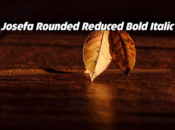 Josefa Rounded Reduced Bold Italic Example 2