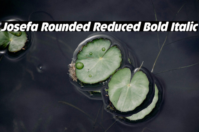 Josefa Rounded Reduced Bold Italic Example 3