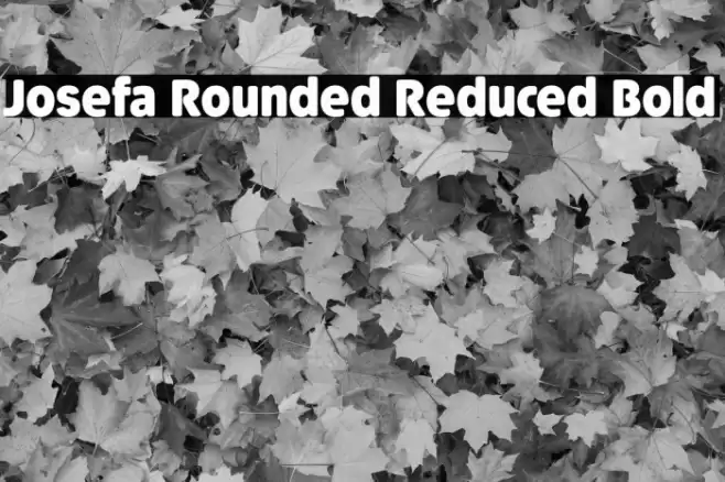 Josefa Rounded Reduced Bold Font examples