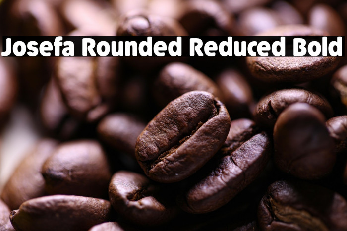 Josefa Rounded Reduced Bold Example 3