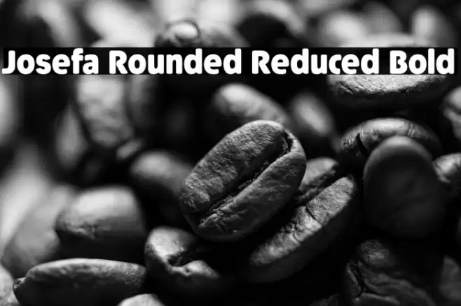 Josefa Rounded Reduced Bold Font examples