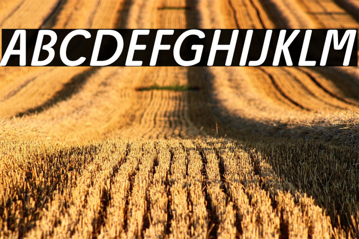 Josefa Rounded Reduced Book Italic Example 1