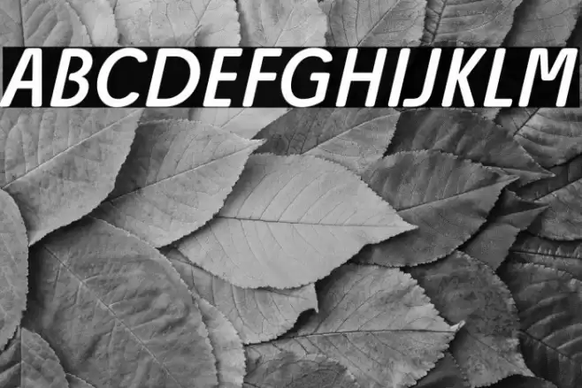 Josefa Rounded Reduced Book Italic Font examples