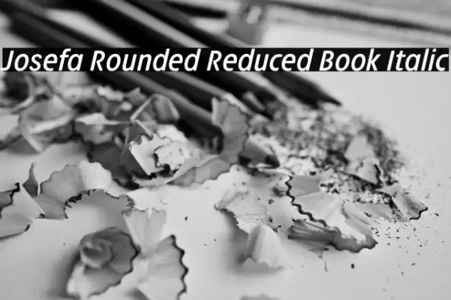Josefa Rounded Reduced Book Italic Font examples