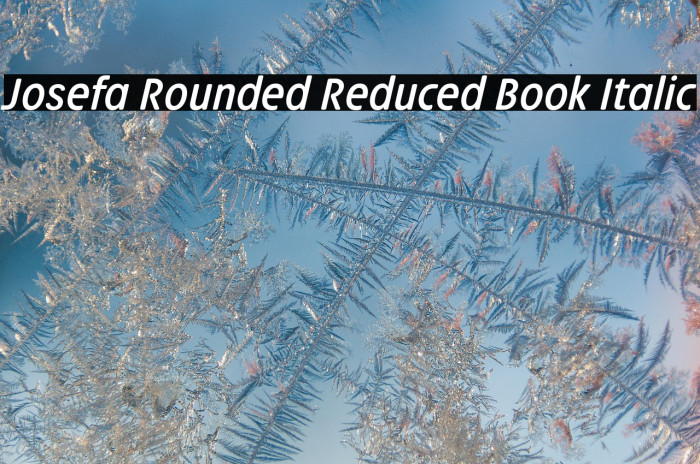 Josefa Rounded Reduced Book Italic Example 3