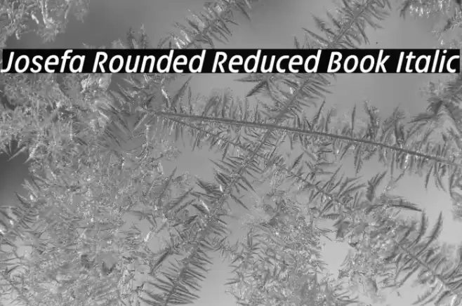 Josefa Rounded Reduced Book Italic Font examples