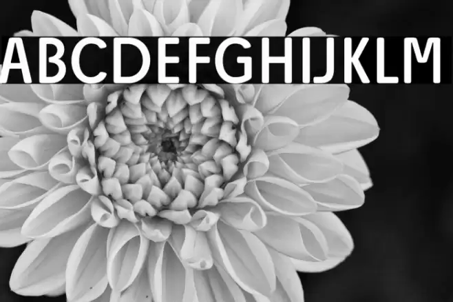 Josefa Rounded Reduced Book Font examples