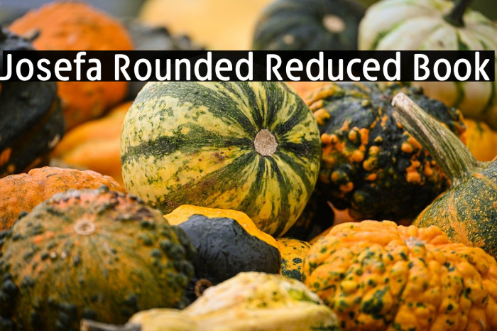 Josefa Rounded Reduced Book Example 2