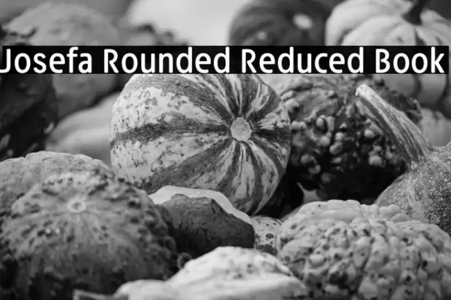 Josefa Rounded Reduced Book Font examples