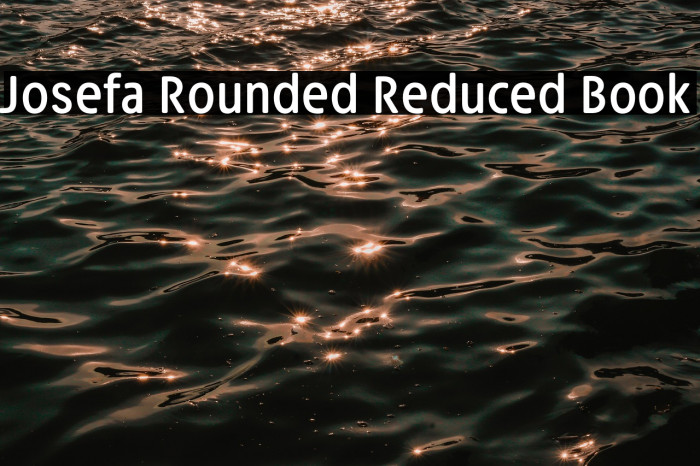 Josefa Rounded Reduced Book Example 3