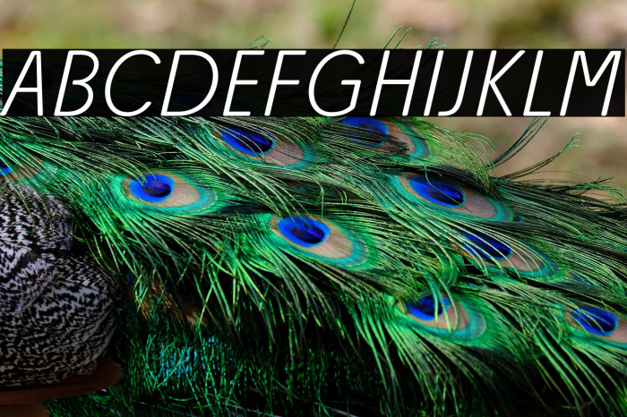 Josefa Rounded Reduced ExtraLight Italic Example 3