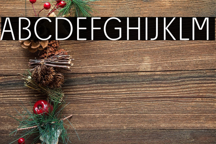 Josefa Rounded Reduced ExtraLight Example 3