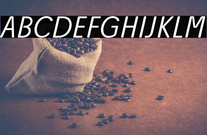 Josefa Rounded Reduced Light Italic Example 1