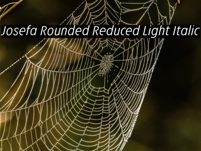 Josefa Rounded Reduced Light Italic Example 1