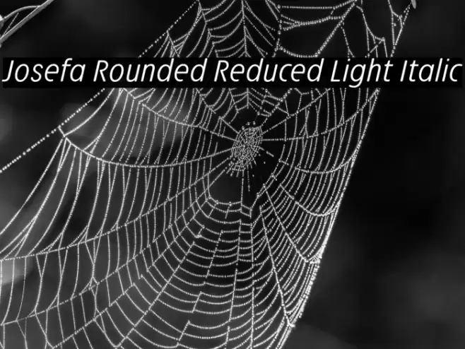 Josefa Rounded Reduced Light Italic Font examples
