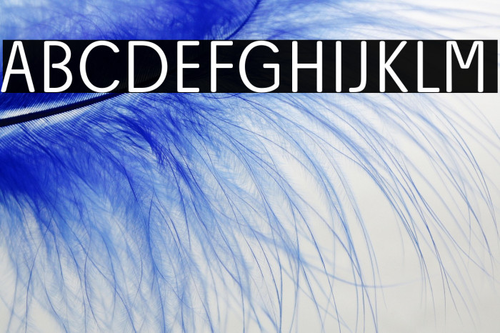 Josefa Rounded Reduced Light Example 1