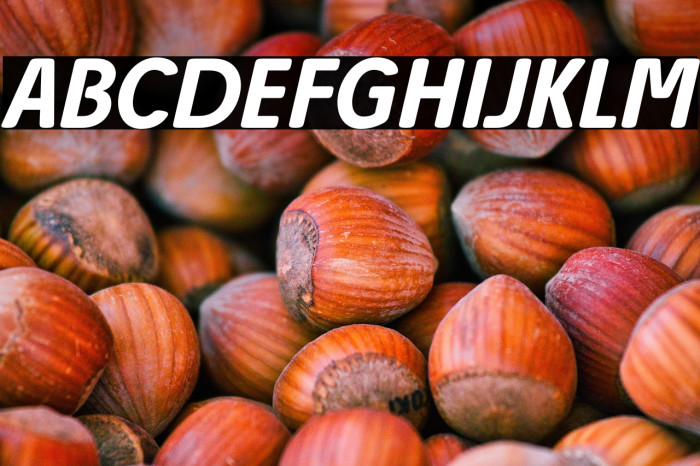 Josefa Rounded Reduced Medium Italic Example 1