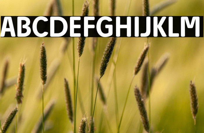 Josefa Rounded Reduced Medium Example 3