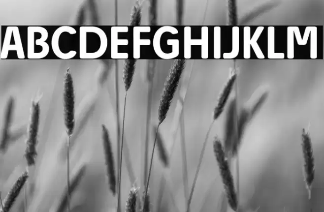 Josefa Rounded Reduced Medium Font examples