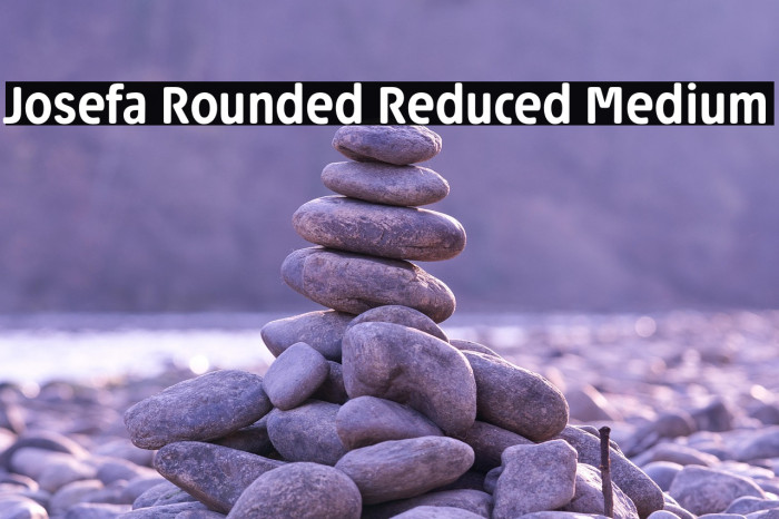 Josefa Rounded Reduced Medium Example 3
