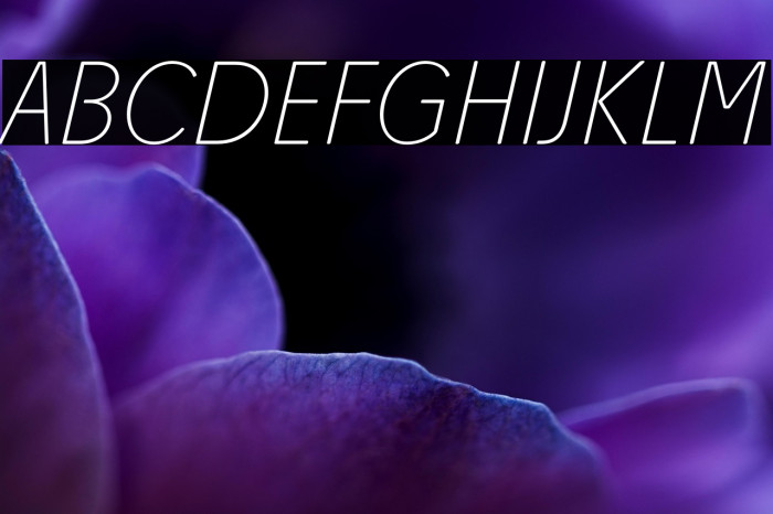 Josefa Rounded Reduced Thin Italic Example 1