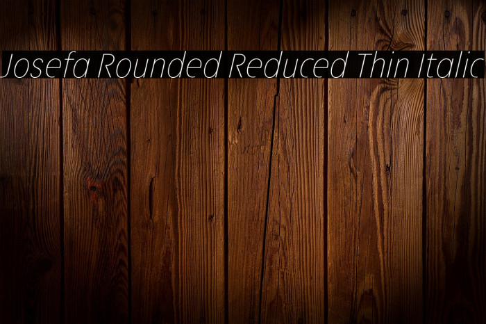 Josefa Rounded Reduced Thin Italic Example 1