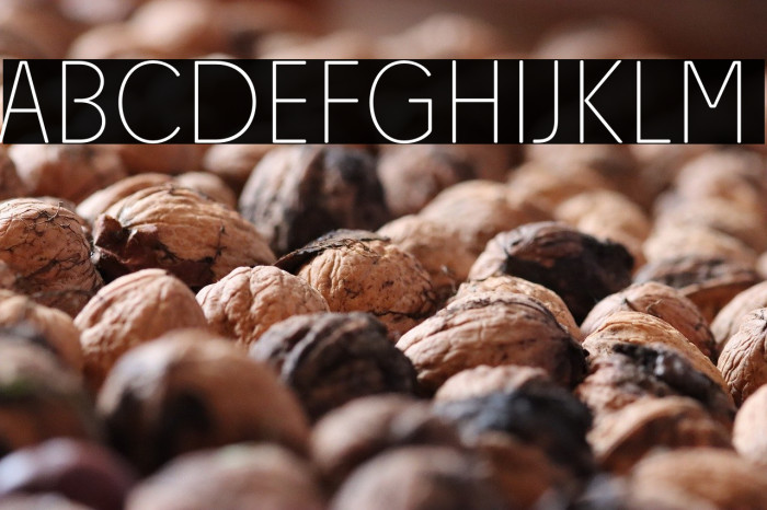 Josefa Rounded Reduced Thin Example 3