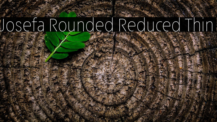 Josefa Rounded Reduced Thin Example 1