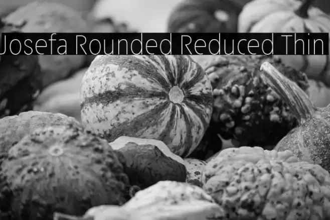 Josefa Rounded Reduced Thin Font examples