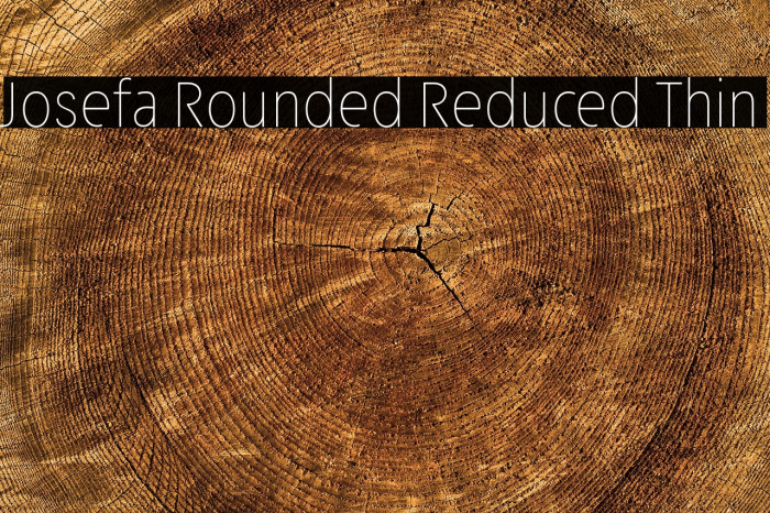 Josefa Rounded Reduced Thin Example 3