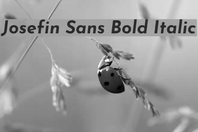 Josefin Sans Bold Italic Font examples