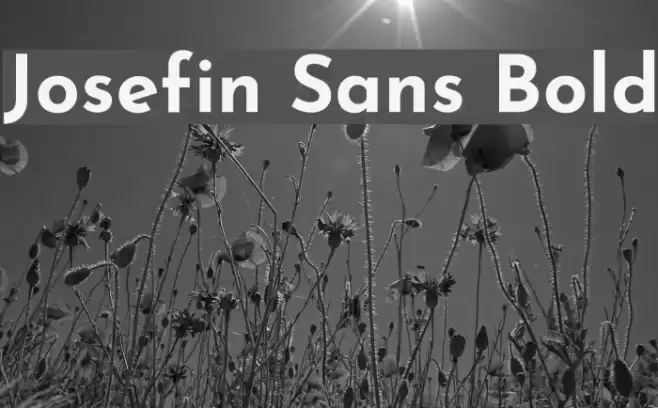 Josefin Sans Bold Font examples