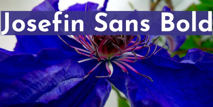 Josefin Sans Bold Font examples