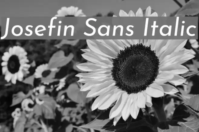 Josefin Sans Italic  examples
