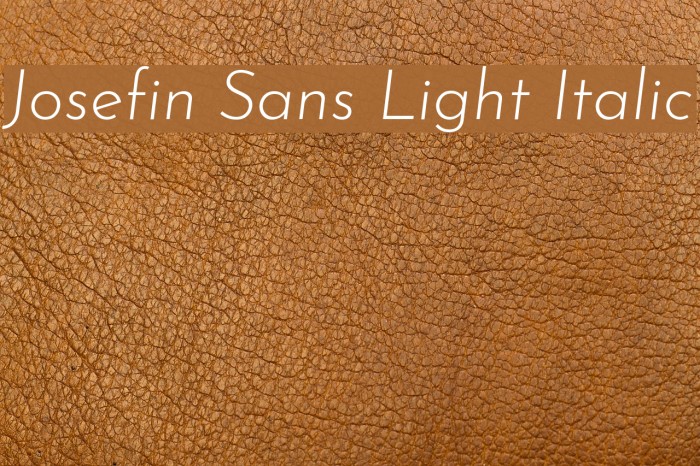 Josefin Sans Light Italic Font examples