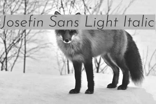 Josefin Sans Light Italic examples