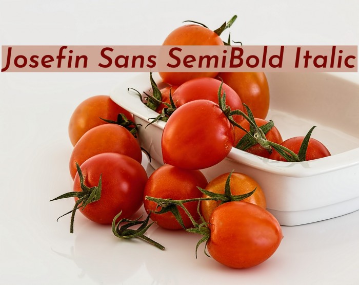 Josefin Sans SemiBold Italic Font examples
