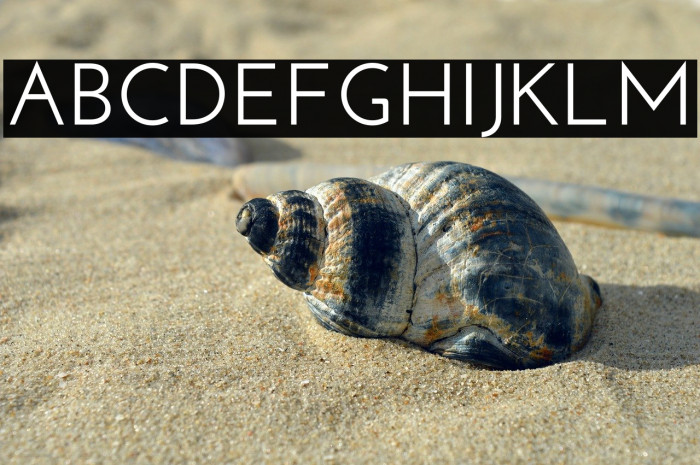 Josefin Sans SemiBold Example 1