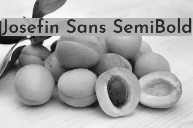 Josefin Sans SemiBold Font examples