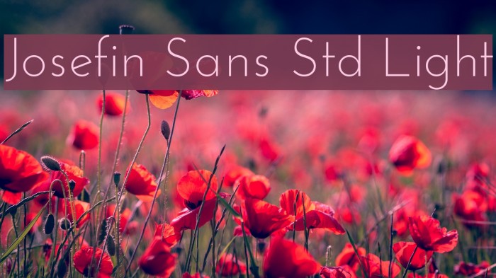 Josefin Sans Std Light Font examples