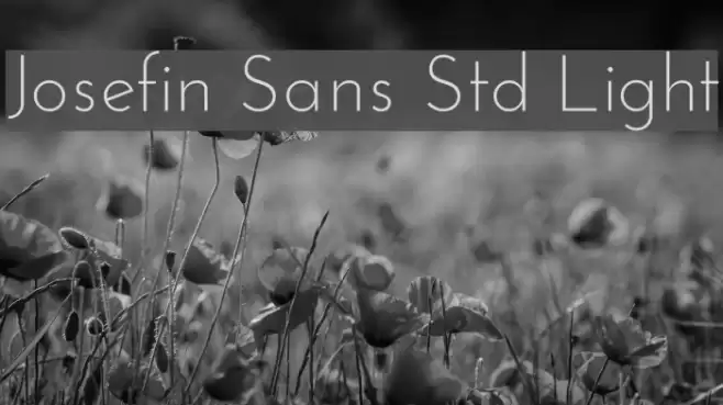 Josefin Sans Std Light Font examples