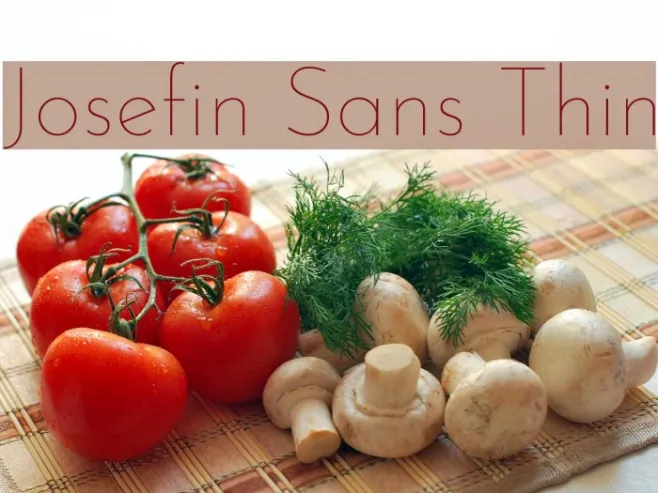 Josefin Sans Thin Example 1