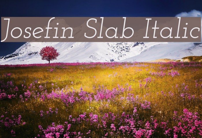 Josefin Slab Italic Font examples