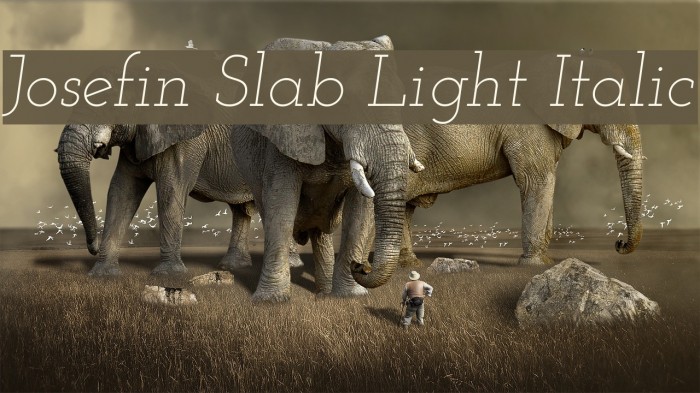 Josefin Slab Light Italic Example 1
