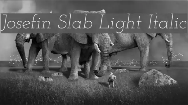 Josefin Slab Light Italic Font examples